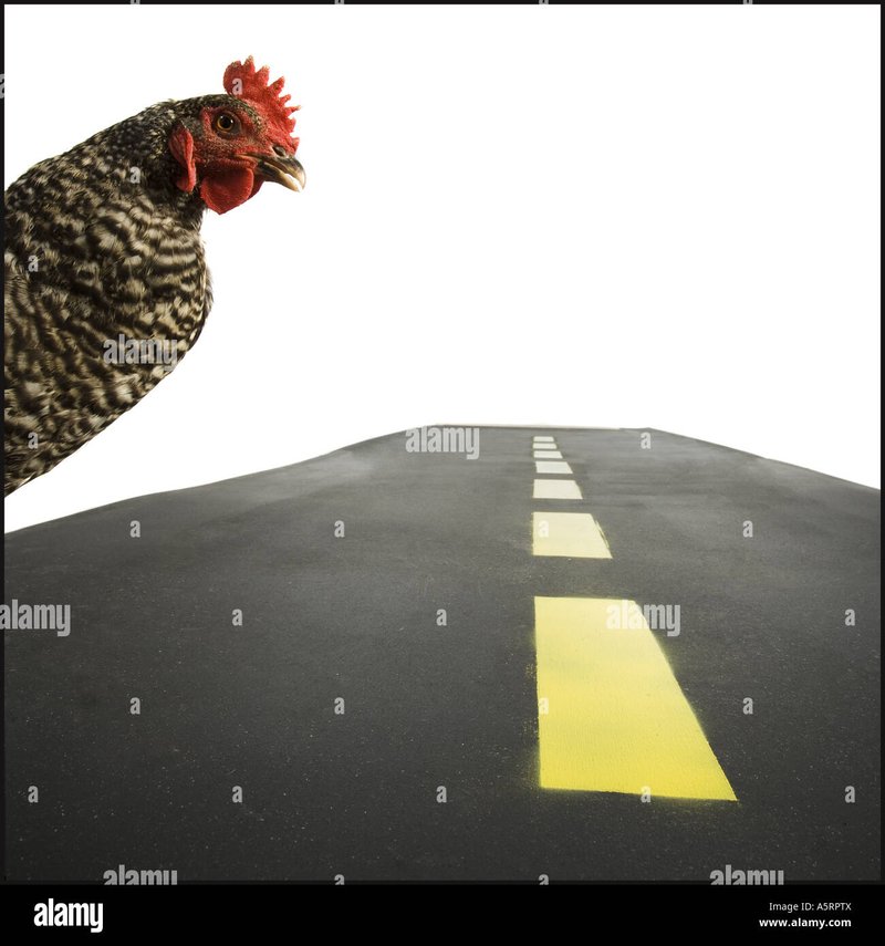 Overview of chicken road 2 demo