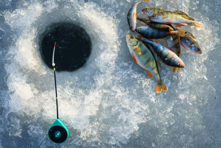 Best ice fishing game in United Kigdom