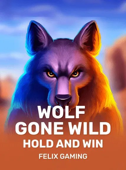 Introduction to wildrobin casino slots