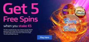 Rise of Mobile Gaming Communities Shaping the Digital Entertainment Landscape